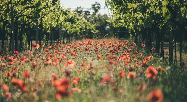 42bcc850-2576-428c-84c2-ad5c5758d990 42bcc850-2576-428c-84c2-ad5c5758d990