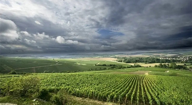 意大利威尼托葡萄酒產區(qū) 意大利威尼托葡萄酒產區(qū)