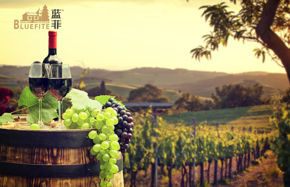葡萄酒產(chǎn)業(yè)升級，提高葡萄酒安全質(zhì)量是關(guān)鍵
